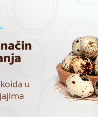 prirodni način ublažavanja alergija