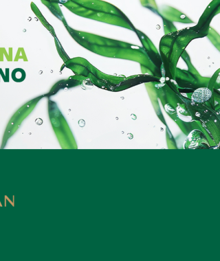 spirulina superhrana